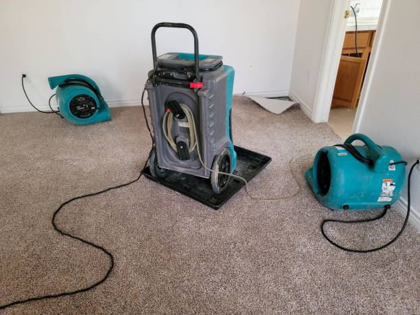 Water damage restoration insurance claims in Miami Gardens, FL