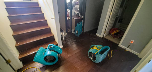 Best 24/7 water damage repair  in Miami Gardens, FL