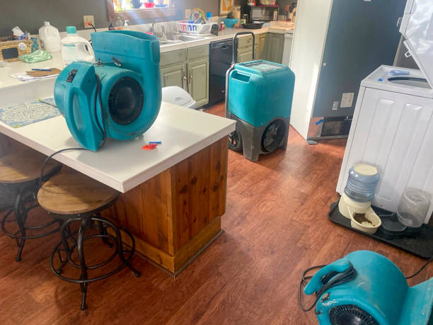 Professional Water damage restoration in Miami Gardens, FL
