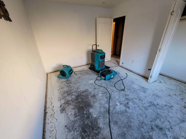 Best Mold removal after water damage  in Miami Gardens, FL