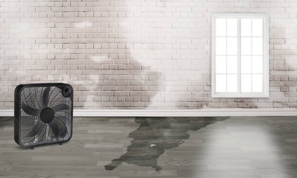 24/7 water damage repair in Miami Gardens, FL