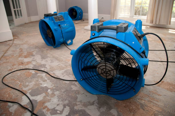 Best Local water damage restoration  in Miami Gardens, FL