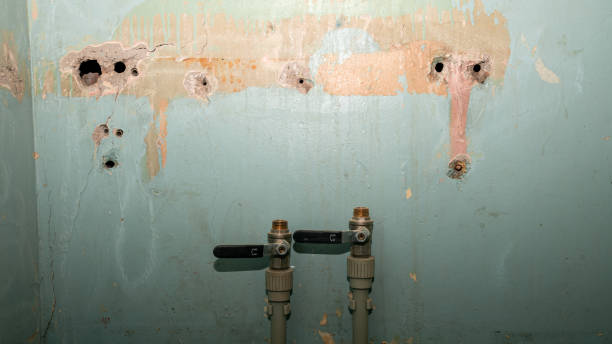 Best Residential water damage restoration  in Miami Gardens, FL