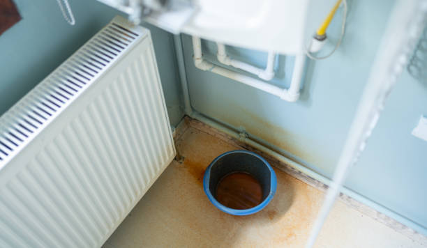 Best Flood damage cleanup  in Miami Gardens, FL