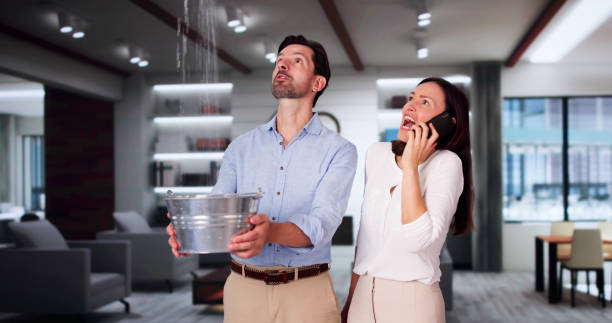 Best Commercial water damage restoration  in Miami Gardens, FL