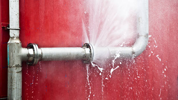 Best Flood restoration services  in Miami Gardens, FL